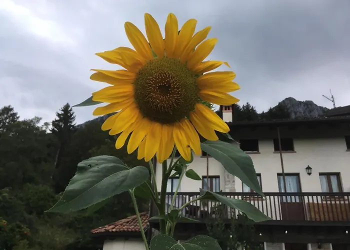 Agriturismo Dagai
