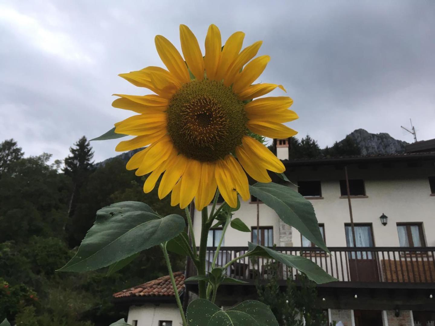 Séjour à la ferme Dagai Sospirolo